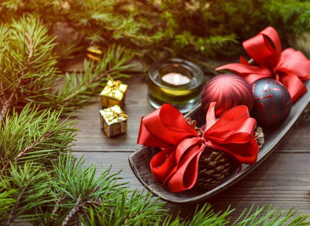 pexels-monicore-748061