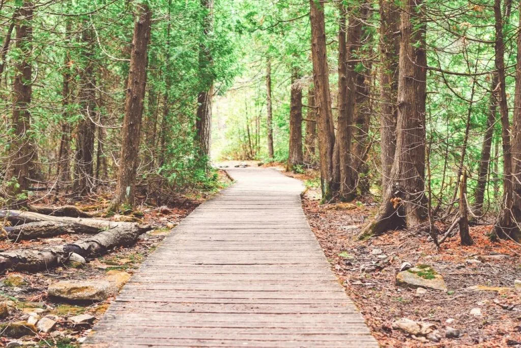 pexels-tim-gouw-443412