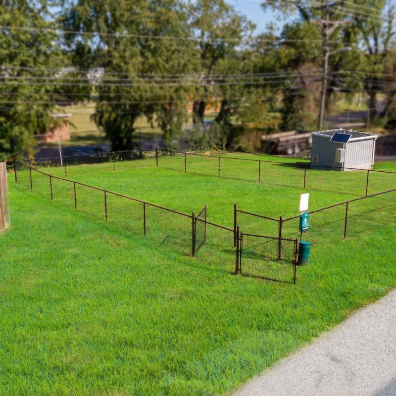 Ascent1555 | Pet Area